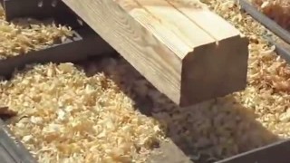 Станок для профилирования бруса СПБ-200