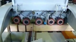 Станок для торцовки заготовок CFS-100