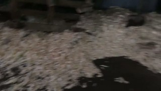 Стружечный станок S800 на горбыле