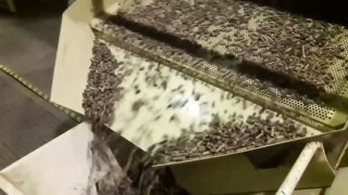 OGM-2,0. Pellet-mill, Pellet press, Пресс-гранулятор