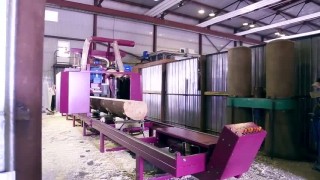 НПО 'Барс'. Распиловочный комплекс 'Барс-5'.