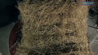 Солома - источник тепла, комфорта и чистоты