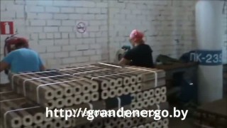 Линия брикетирования стандарта Pini-key (евробрикет) 1-1.5 т-ч