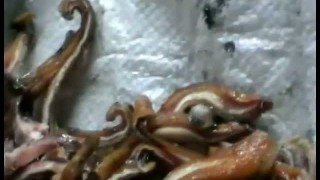 KnifEar - Ухорезка - Машина нарезки мясопродуктов на соломку.