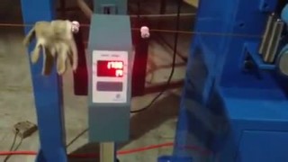 Экструзионная линия по выпуску прутков для ЗD печати