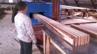 Станок многопильный дисковый(круглопильный)одновальный до 10 пил высота пропила 205 мм ширина 620 мм ЦМД-200(э/дв55 кВт)