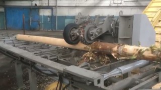 Окорочный станок ОС-600 "СИТЕК". Опоры ЛЭП до 13м.