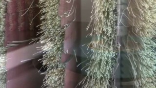 Щеточно-шлифовальный станок DE 1/150