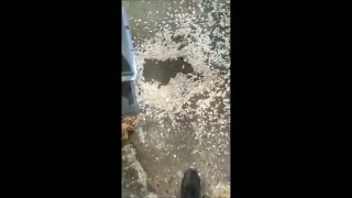 Щепорез для арболита М 420 с двигателем 7 5кВт