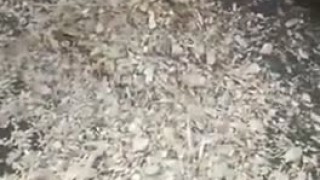 Рубительная машина М400