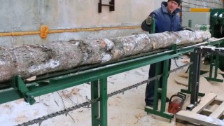 Распиловка березы на обрезную доску.✧Дисковая многопильная пилорама распиловки березы на экспорт.