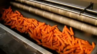 Машина для щеточно-абразивной очистки моркови МЩА-752-01