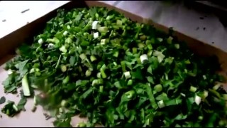 Машина ломтерезка (траворезка) МЛ-202