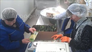 Упаковка лаврового листа в готовые пакеты. Конвейерный запайщик FRB-770II пакетов из пленки