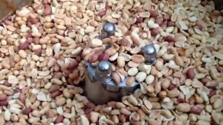 Куттер вакуумный КВ-700