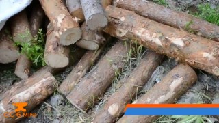 CС-6 mini (новый) станок для производства стружки | Древесно стружечный станок | Станок для опилок