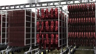 Камера сушки и созревания сырокопченых колбас