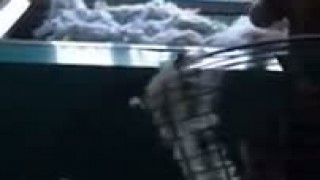 Чесальная машина с набивочными столами PN-1