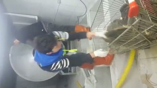 Мойки для Рубца и Книжки 