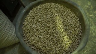 Гранулятор для опилок с кольцевой матрицей ГУ-22