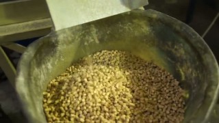 Гранулятор для опилок с кольцевой матрицей ГУ-22