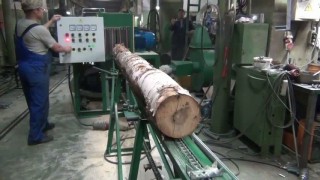 Станок для переработки тонкомера СПТ-28067