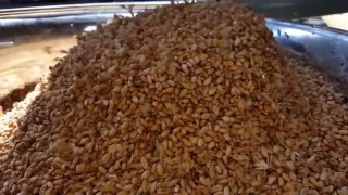 Моечная машина для зерна Ladia DR 1500 Normit