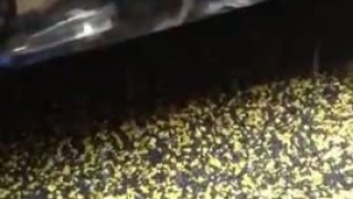 Дробилка для пластмасс XFS-800 (каскад) 