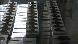 оборудование для производства леденцов на палочке