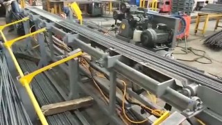 Автоматическая линия резки SGS100