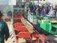 Горизонтальные ленточные пилорамы HTZ 700