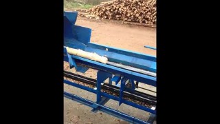 Debarking line CAMBIO 45