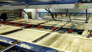 Торцовка проходного типа ПТ-1 производства фирмы Экодрев-машинери.