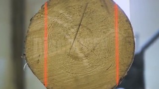 Станок для переработки тонкомера Discovery Next 300