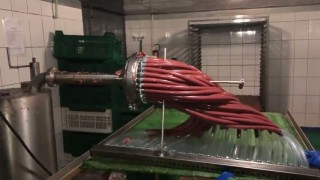 HydroShpriz для мясных/рыбных снеков, кабаносы, безоболочка, 50кг/10мин