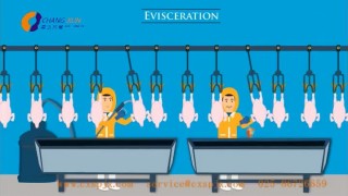 Линия убоя птиц, ООО " Чан Сюнь", Китай