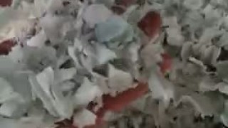 Однороторный шредер для пластика и картона