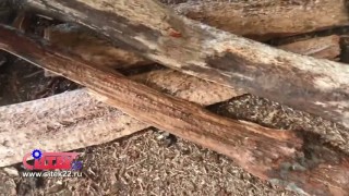 Окорочный станок ОСГ-500 «СИТЕК»