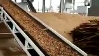 Рубительная машина режет бревна, древесины на щепы