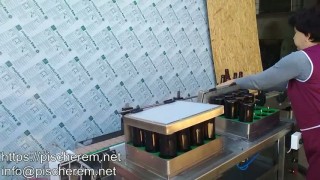 Полуавтоматическая ополаскивающая машина