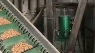 Гранулятор для производства пеллет древесных / 1,8-2т/ч 