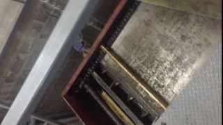 Сепаратор для первичной очистки подсолнечника