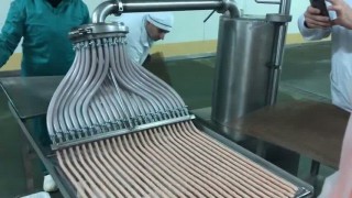 Hydroshpriz с порционером на 25 форсунок для производства мясных снеков Кабанос (1)