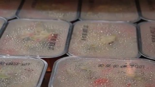 Пастеризатор с противодавлением импортный, пр-во Бельгия