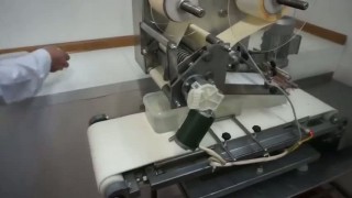 Автомат этикетировочный АЭ-2000