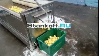 Машина щеточно-абразивная для очистки от кожуры корнеплодов