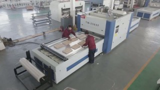 TM2580F Позитивна та негативна мембранна пресова машина