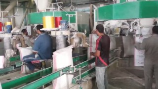 Карусель для упаковки муки в готовые мешки по 50 кг