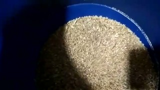 Дробилка молотковая. Зернодробилка "Ур"