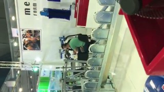 Доильное оборудование +79615487449 +79618405930 fjbgroupgeneraldirector@mail (11)